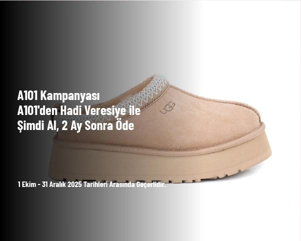 A101 Kampanyası - A101'den Hadi Veresiye ile Şimdi Al, 2 Ay Sonra Öde