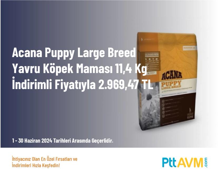 Köpek Maması Kampanyası - Acana Puppy Large Breed Yavru Köpek Maması 11,4 Kg İndirimli Fiyatıyla 2.969,47 TL