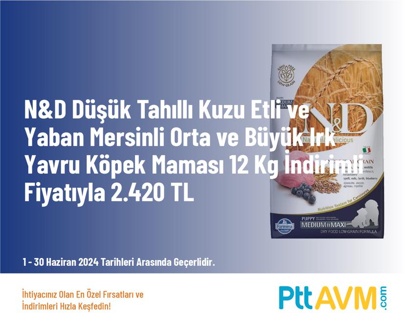 N&D Düşük Tahıllı Kuzu Etli ve Yaban Mersinli Orta ve Büyük Irk Yavru Köpek Maması 12 Kg İndirimli Fiyatıyla 2.420 TL
