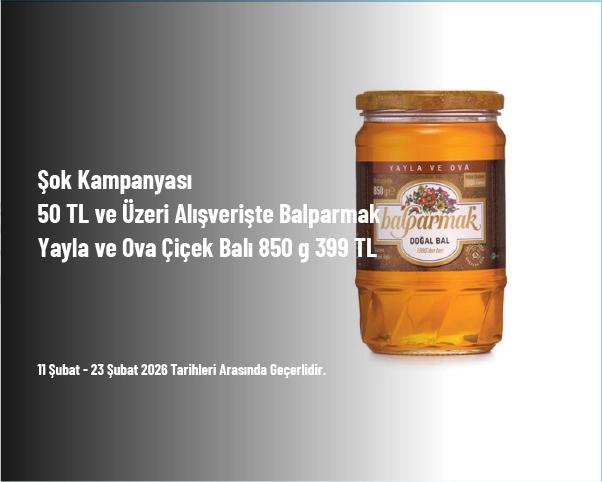 Şok Kampanyası - 50 TL ve Üzeri Alışverişte Balparmak Yayla ve Ova Çiçek Balı 850 g 399 TL